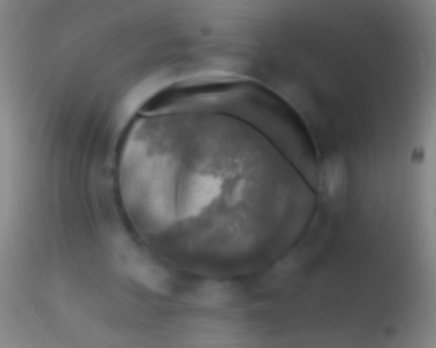 X0000113960292200910162010