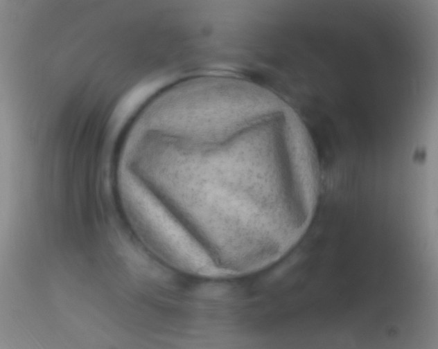 X0000113960294200910162010