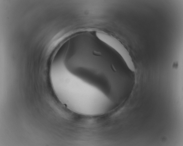 X0000113960295200910162010