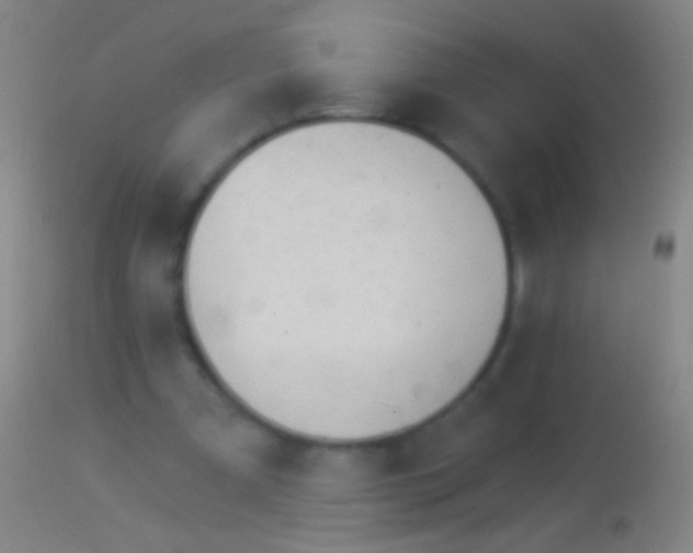 X0000113960297200910162010