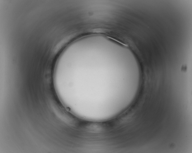 X0000113960299200910162010