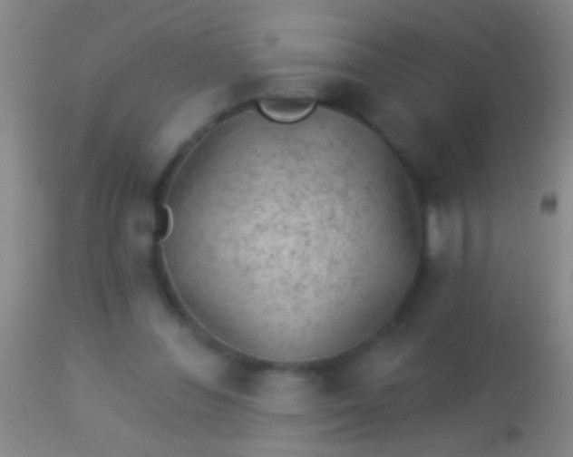 X0000113960300200910162010