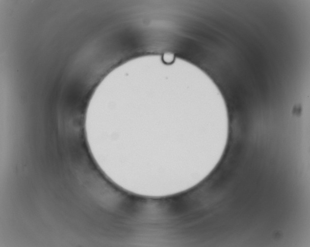 X0000113960305200910162010