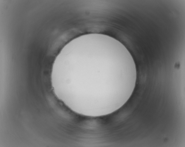 X0000113960307200910162010