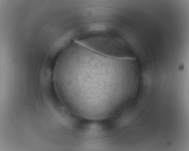 X0000113960308200910162010