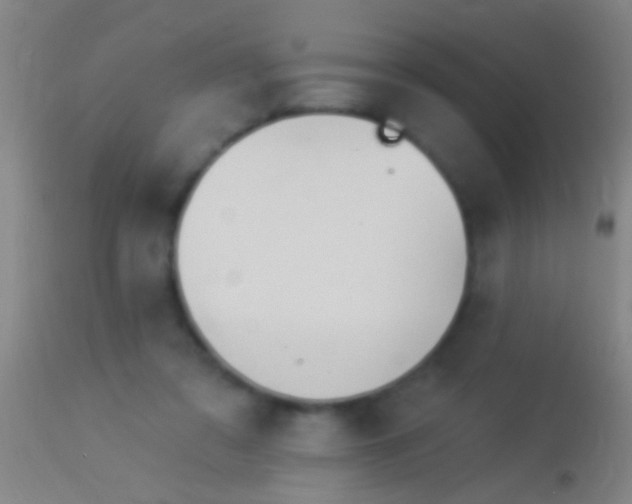 X0000113960309200910162010