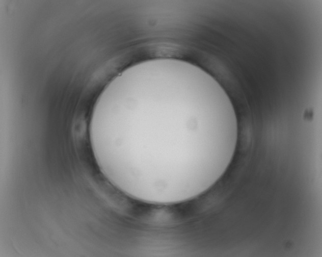 X0000113960310200910162010