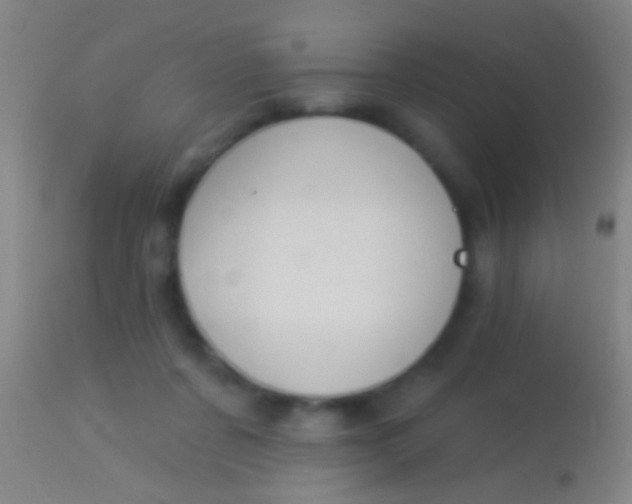 X0000113960311200910162010