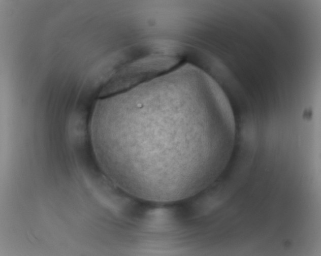 X0000113960312200910162010