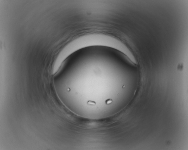 X0000113960313200910162010