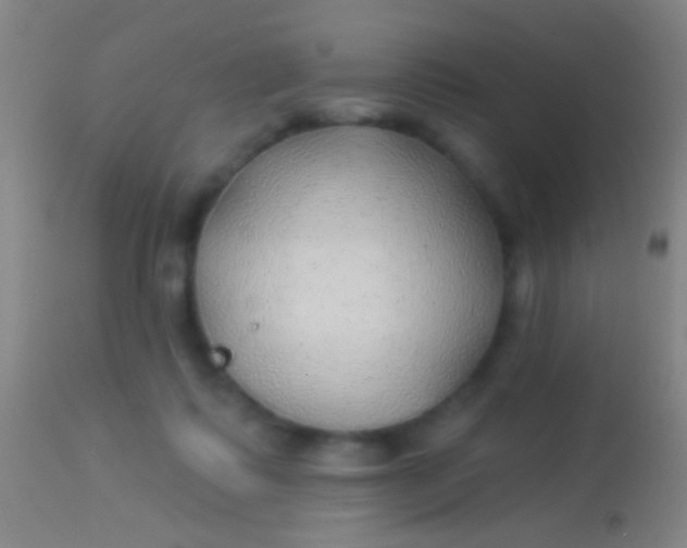 X0000113960315200910162010