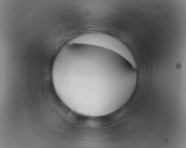 X0000113960317200910162010