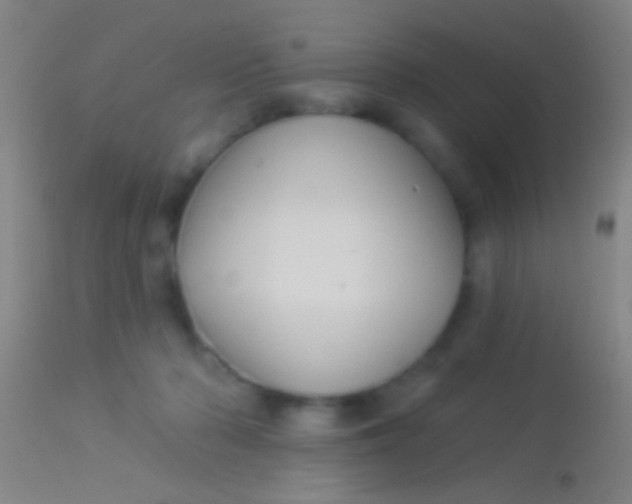 X0000113960318200910162010