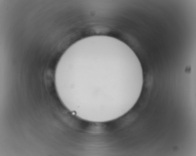 X0000113960321200910162010