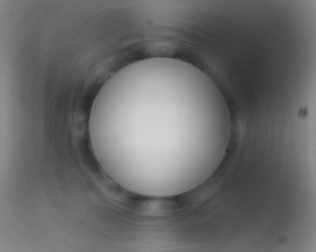 X0000113960323200910162010