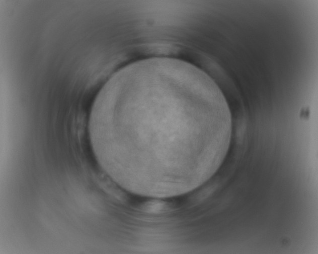 X0000113960326200910162010