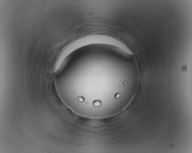 X0000113960327200910162009