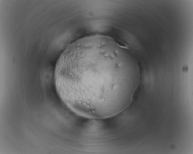 X0000113960328200910162009