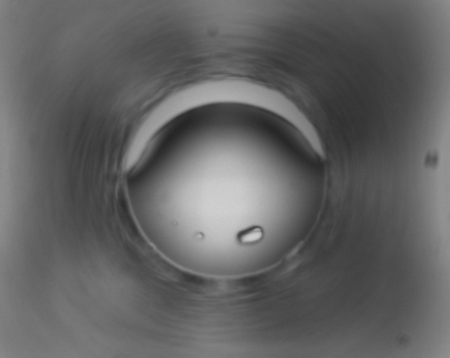 X0000113960329200910162009