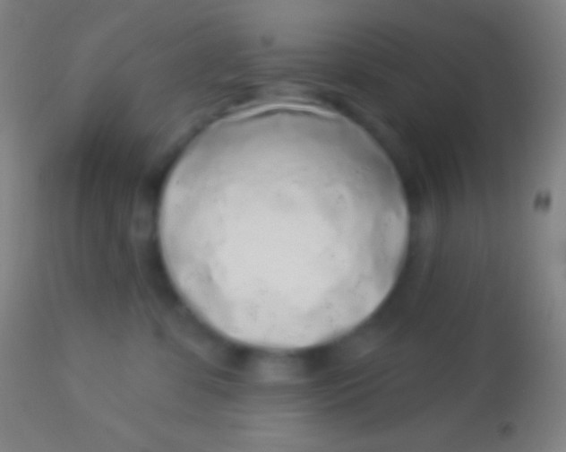 X0000113960331200910162009