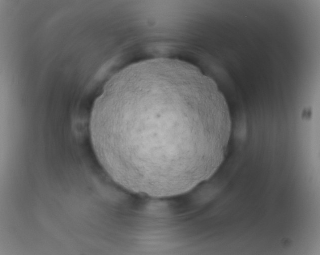 X0000113960332200910162009