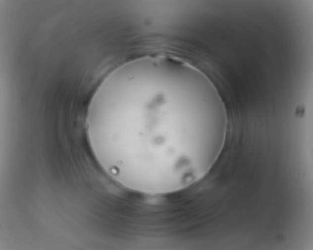 X0000113960333200910162009