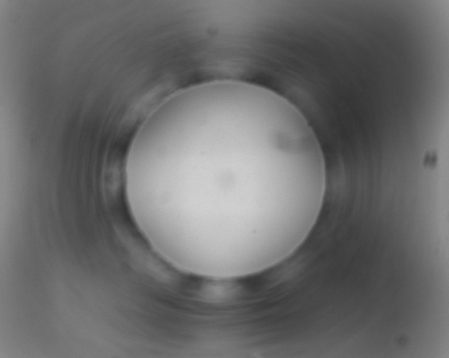 X0000113960334200910162009