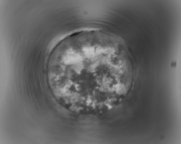 X0000113960337200910162008