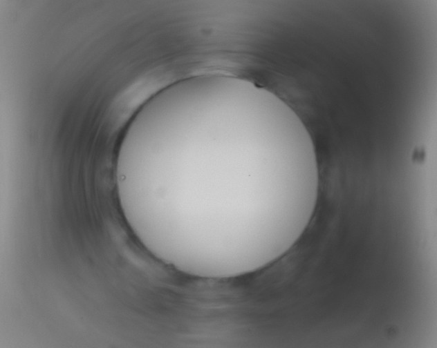 X0000113960338200910162008