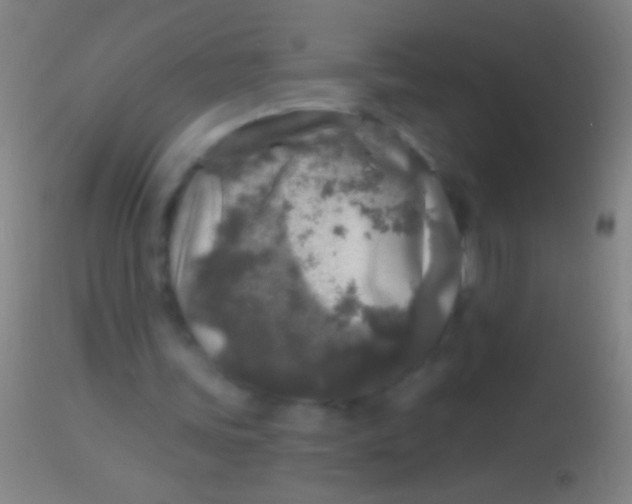 X0000113960339200910162009