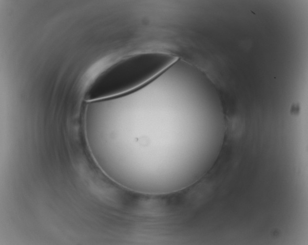 X0000113960340200910162009