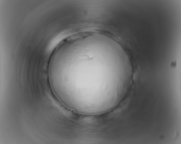 X0000113960341200910162009