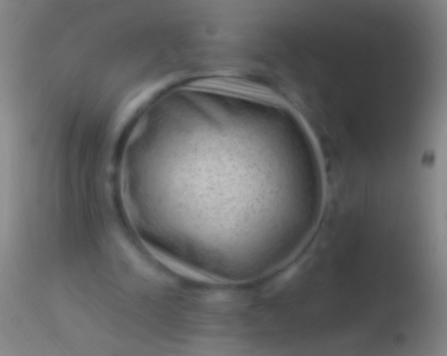 X0000113960342200910162009