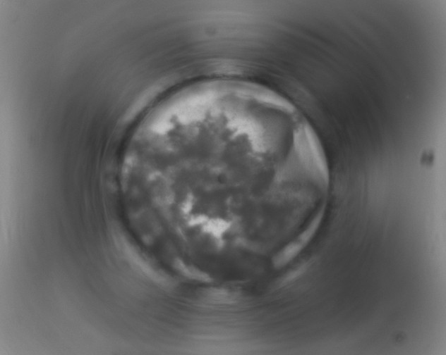 X0000113960347200910162009