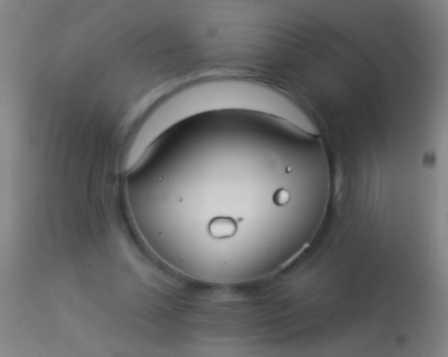 X0000113960348200910162009