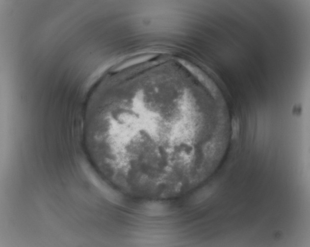 X0000113960349200910162009