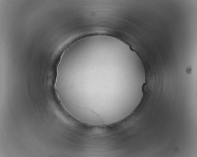 X0000113960350200910162009