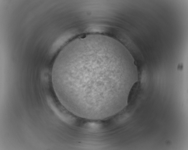 X0000113960352200910162009