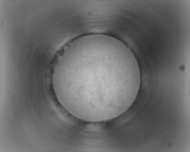 X0000113960354200910162009