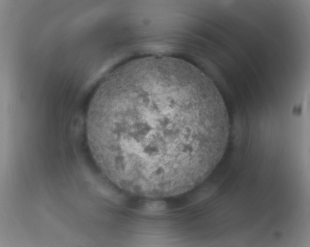 X0000113960355200910162009