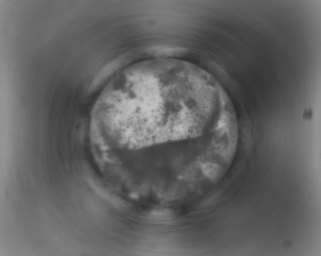 X0000113960357200910162009