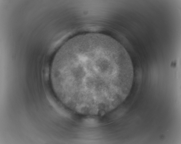 X0000113960358200910162009