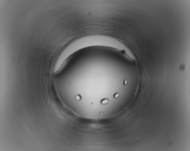 X0000113960360200910162009