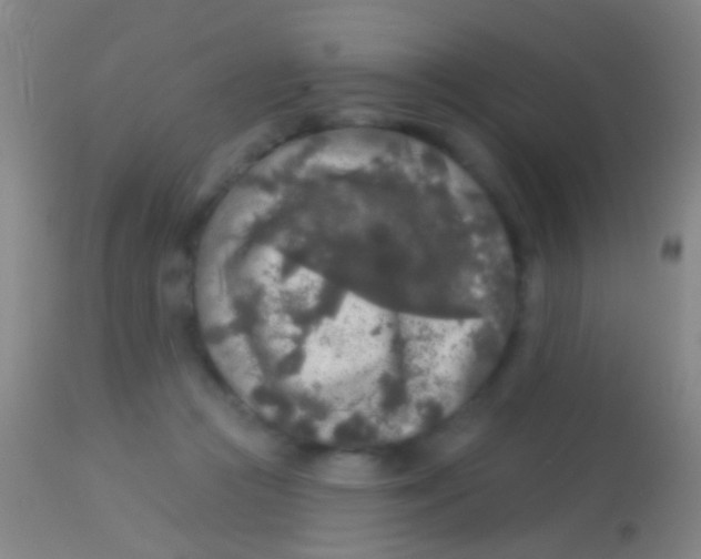 X0000113960361200910162009