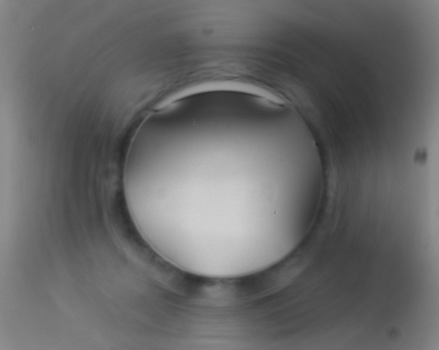 X0000113960362200910162009