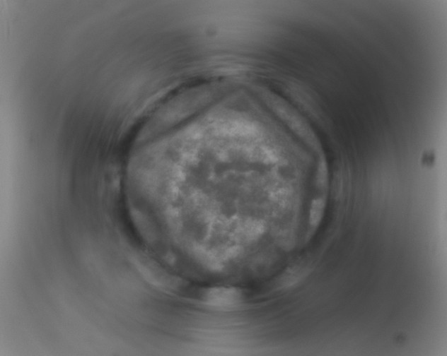 X0000113960363200910162009