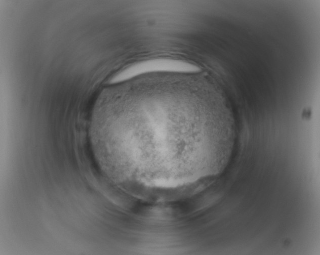 X0000113960366200910162009