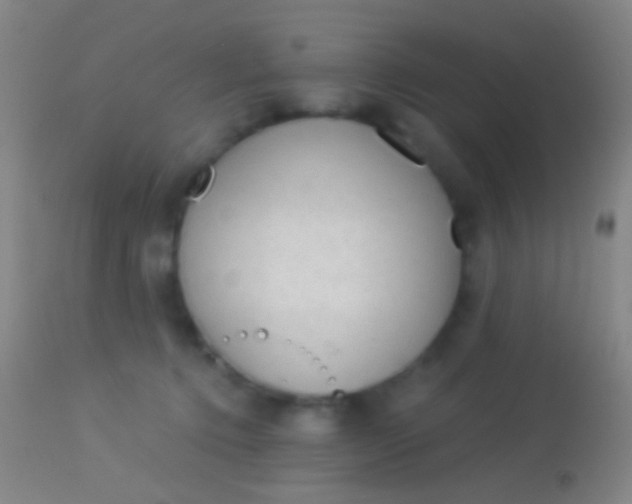 X0000113960368200910162009