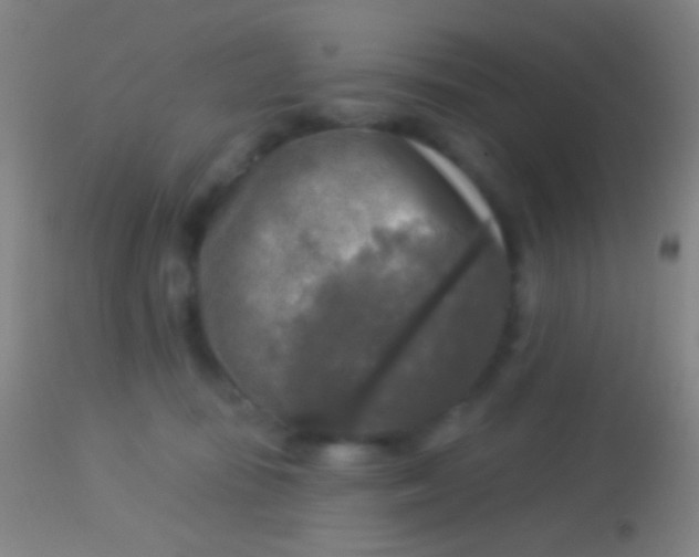 X0000113960371200910162009