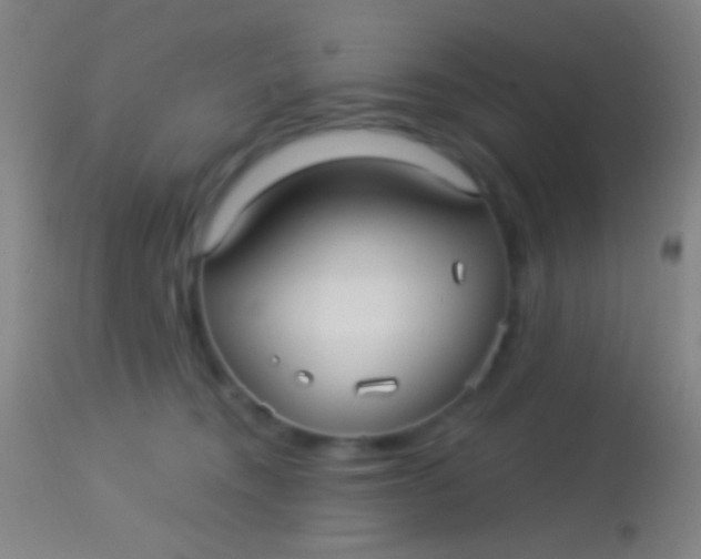 X0000113960372200910162009